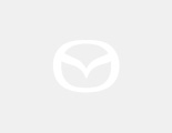 Bicycle Rack (Rear mount and removable) 1995-1998 Millenia. Bicycle Rack (Rear mount and removable)...